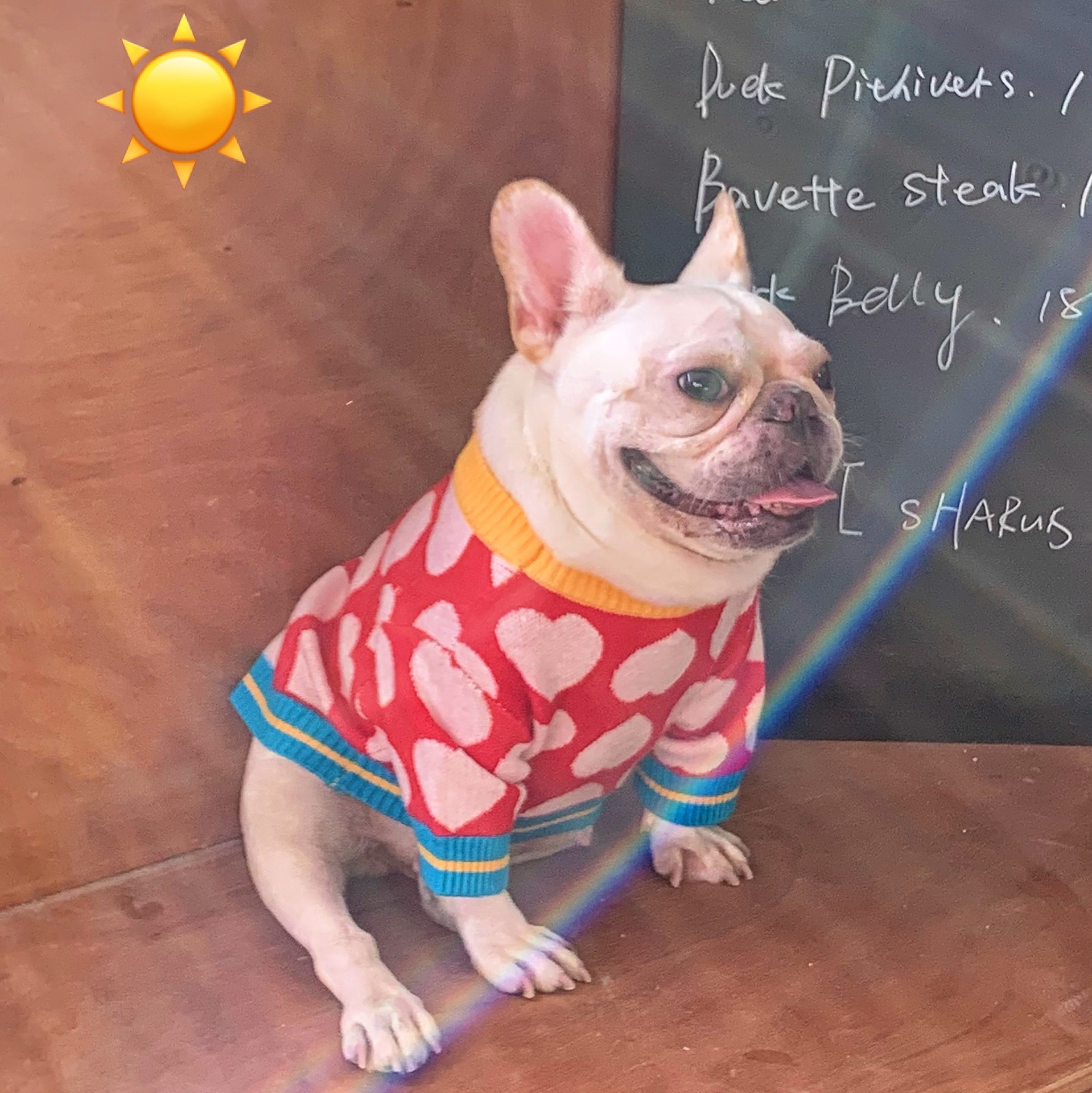 Pet Hoodie Image 9