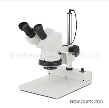 �ձ�Carton���w���w�@΢�RNSW-20PG-260