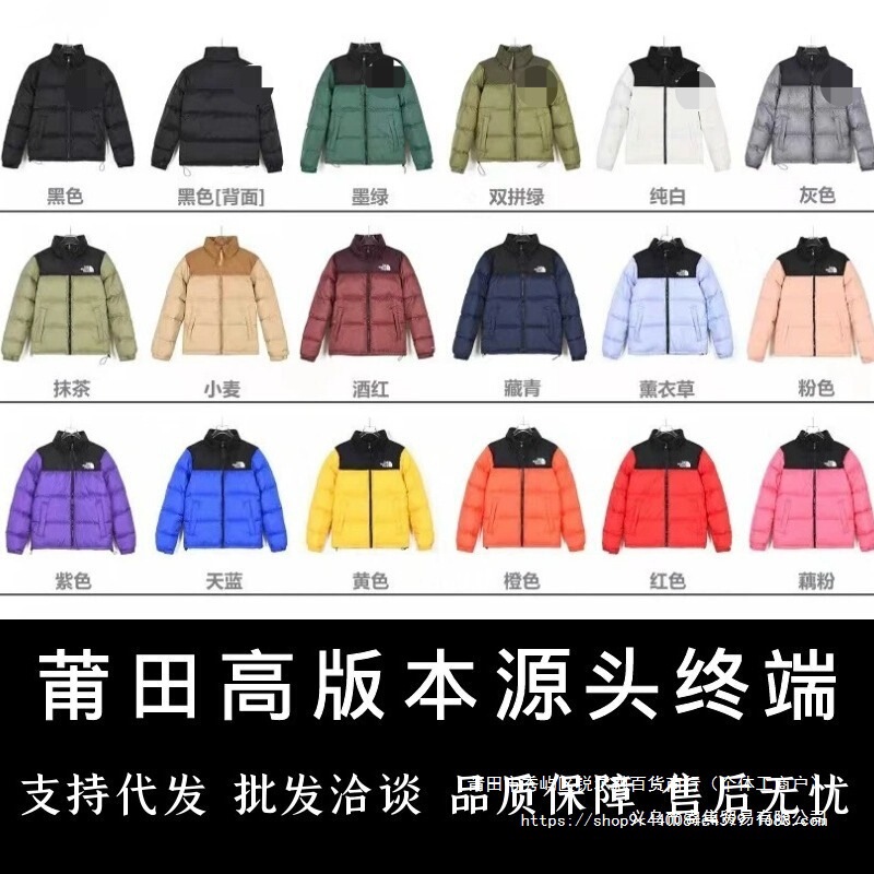 Putian Factory Wholesale Beijia Tnf1996 American Version down Jacket 90 White Duck down Jacket for Men and Women for Couples Dropshipping