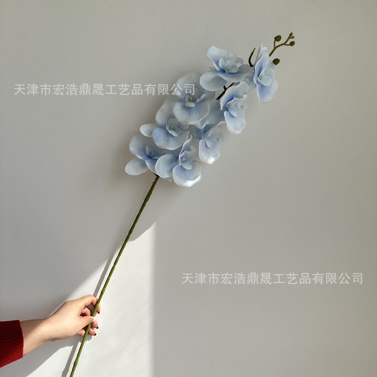 微信图片_202303031341501_副本