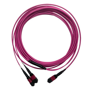 ���Sֱ�N���w���� 50/125 OM4 ��ģ MPO-MPO 24Fiber 3.0mm PVC