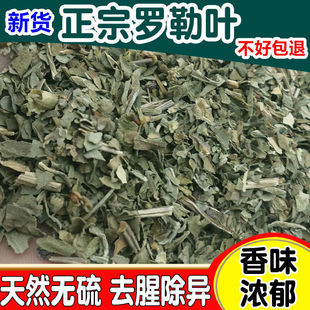 �_���~��50��ɢ�b���}��basilʳ����������ݰ�������{����؛��