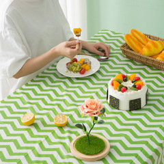 PEVA派對桌布防水防油條紋派對桌布供應亞馬遜家用方形防水台布