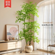 �Gֲ��������҃ȴ�������p�ݸ������b�Ʒ�����٘�[��