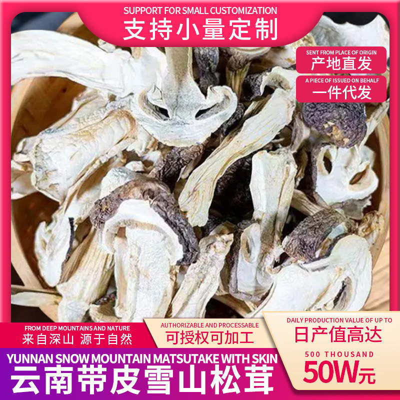 云南香格里拉雪山松茸干货松茸白松茸姬松茸带皮高山松茸工厂定制