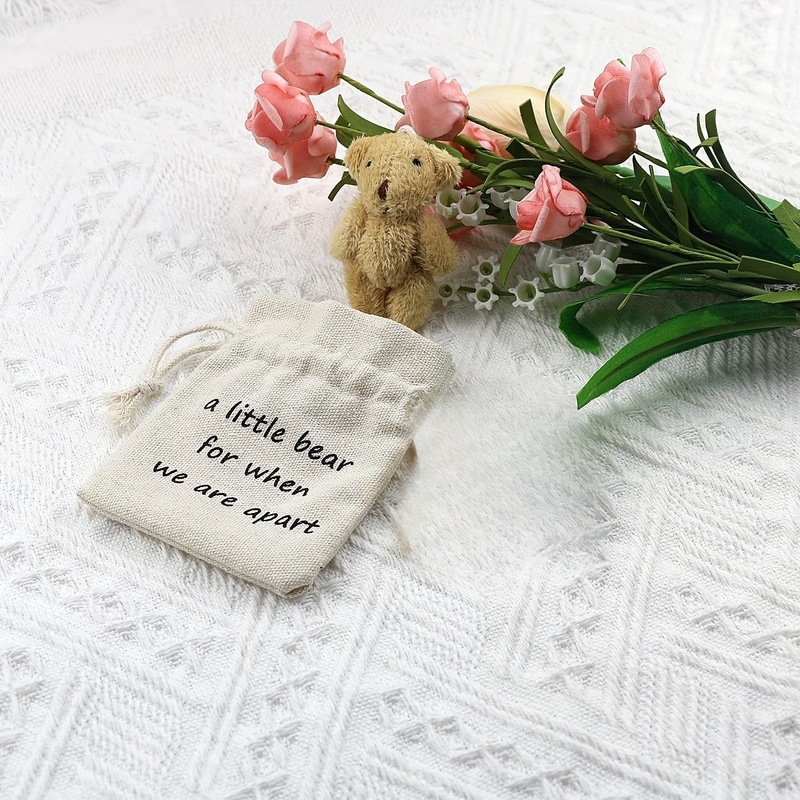 クロスボーダー新品ぬいぐるみミニベアミニポケット抱っこベアA worry bear|undefined