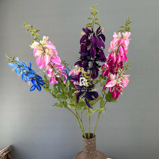 �羳�p�^��ͩ��c�ٻ��ߙn�p����Ȼ�L��Y�̈���ꐽ����b��滨