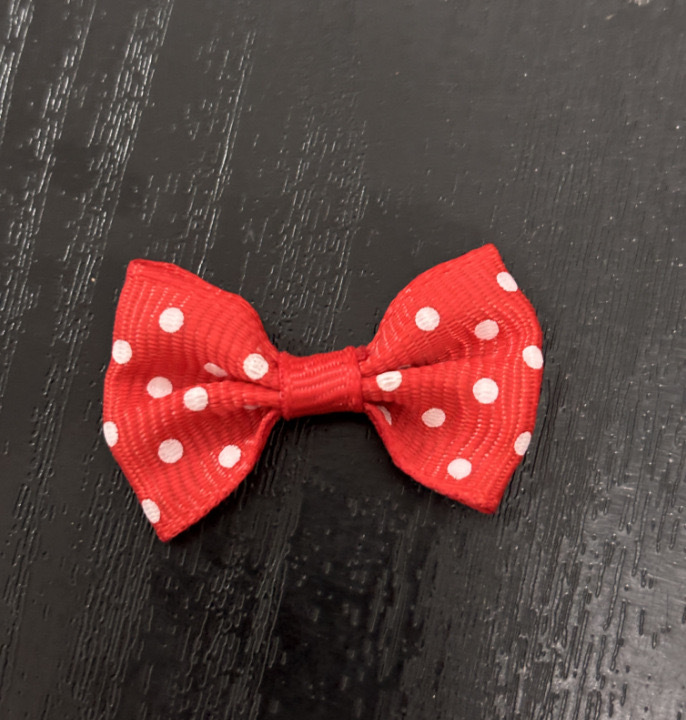 Bowknot