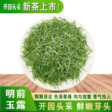 绿茶恩施玉露2023年新茶明前蒸青工艺芽尖嫩芽散装批发