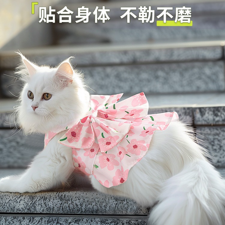 猫咪牵引绳宠物衣服防挣脱胸背带外出溜猫缅因布偶德文遛猫绳