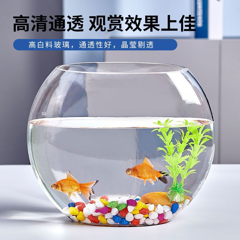 创意扁口玻璃鱼缸椭圆形超白透明玻璃金鱼缸迷你水族箱小型桌面