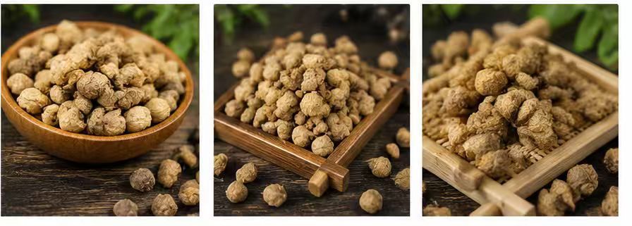 Dried Mantis Egg Case Sang Piao Xiao 桑螵蛸 TCM Herb for Wine Infusion and Decoction Sun Dried Anhui Origin specifications