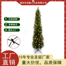 ��������ʥ��Ǧ������LED�ƣ����䴿PVC��ϸ����LED��