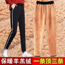 ���q�\��ѝŮ����2025�¿��a�غ�ӽqѝ���@��С�_�������eѝ