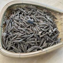 ɽ؛���Ͻ��˅���Ұ�p�� �Ͼ��˅�