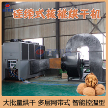 连续式核桃烘干机 全自动山核桃胡桃干燥机 大型青皮核桃烘干设备
