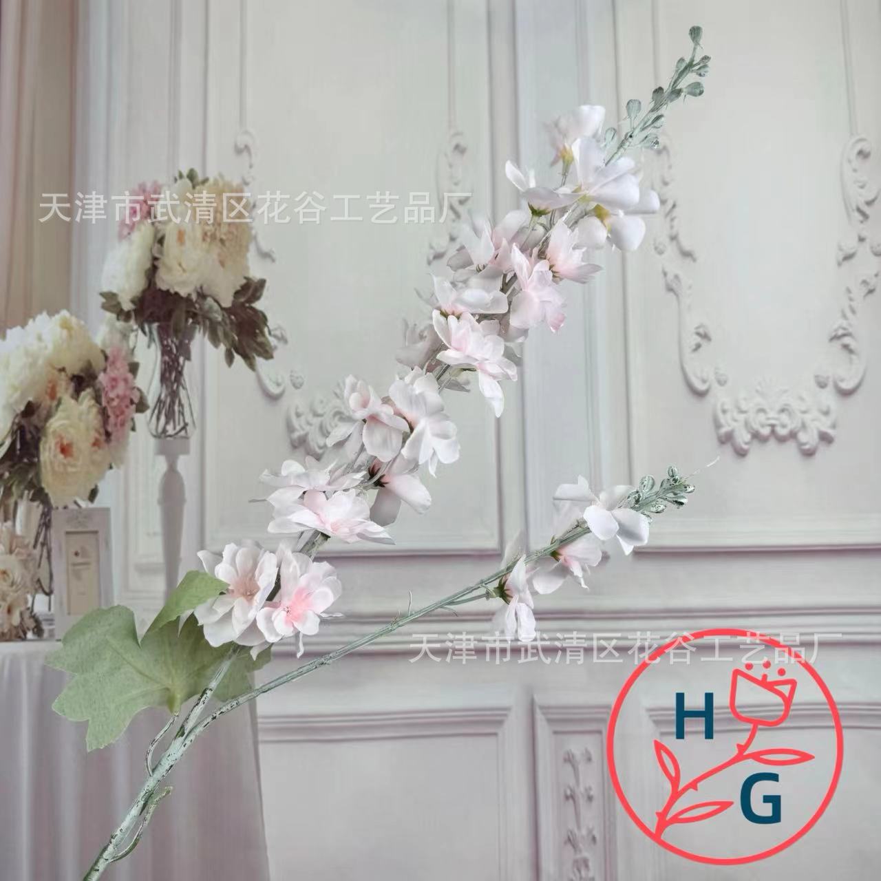 HG-6