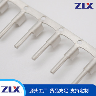 PTN�A�������B������