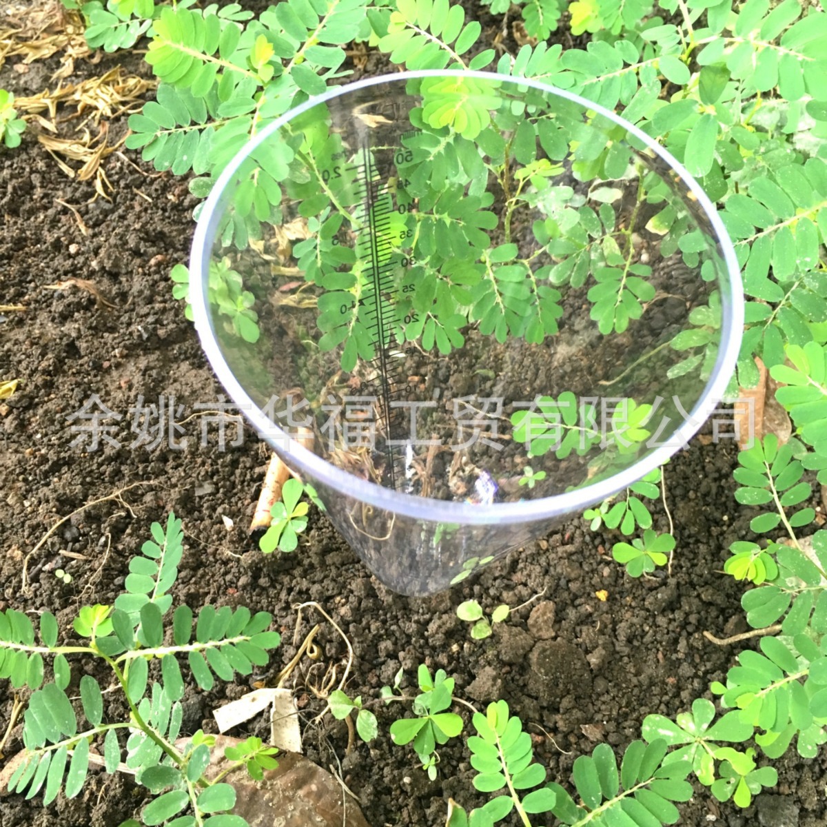 Supply new material garden rain gauge plastic measuring cup white…