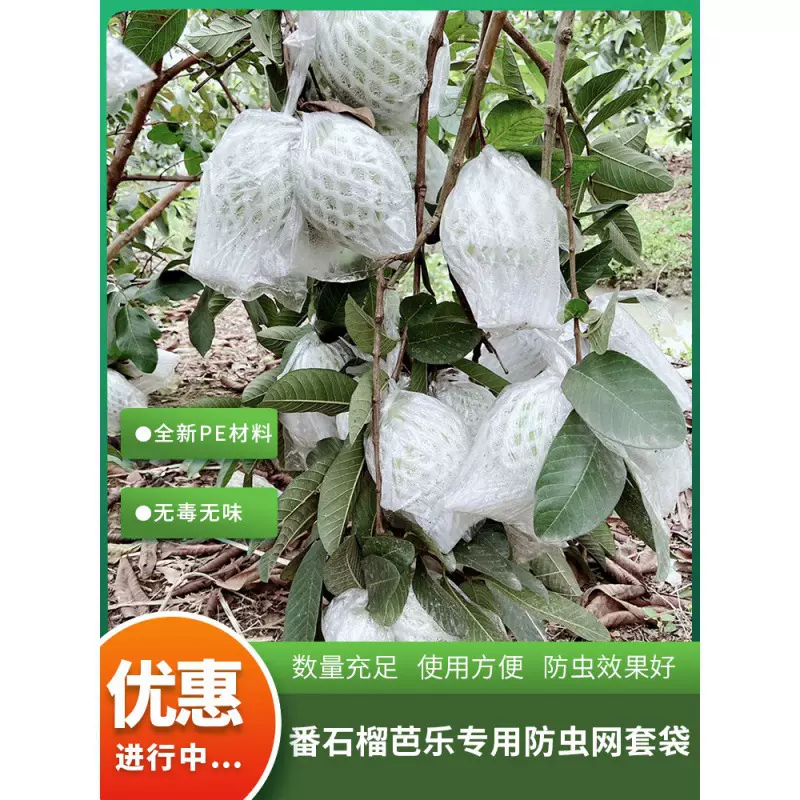 泡沫网套袋 番石榴芭乐防虫防鸟套袋一体袋水果网套泡沫网保护袋