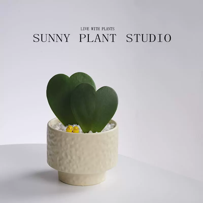 Суккулентное растение «от сердца к сердцу», офисное креативное радиационно-стойкое признание в горшке, подарок 520, простой в уходе