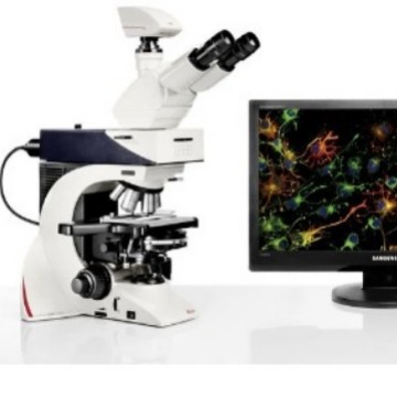 Leica   徕卡  DM2500 LED   正置显微镜