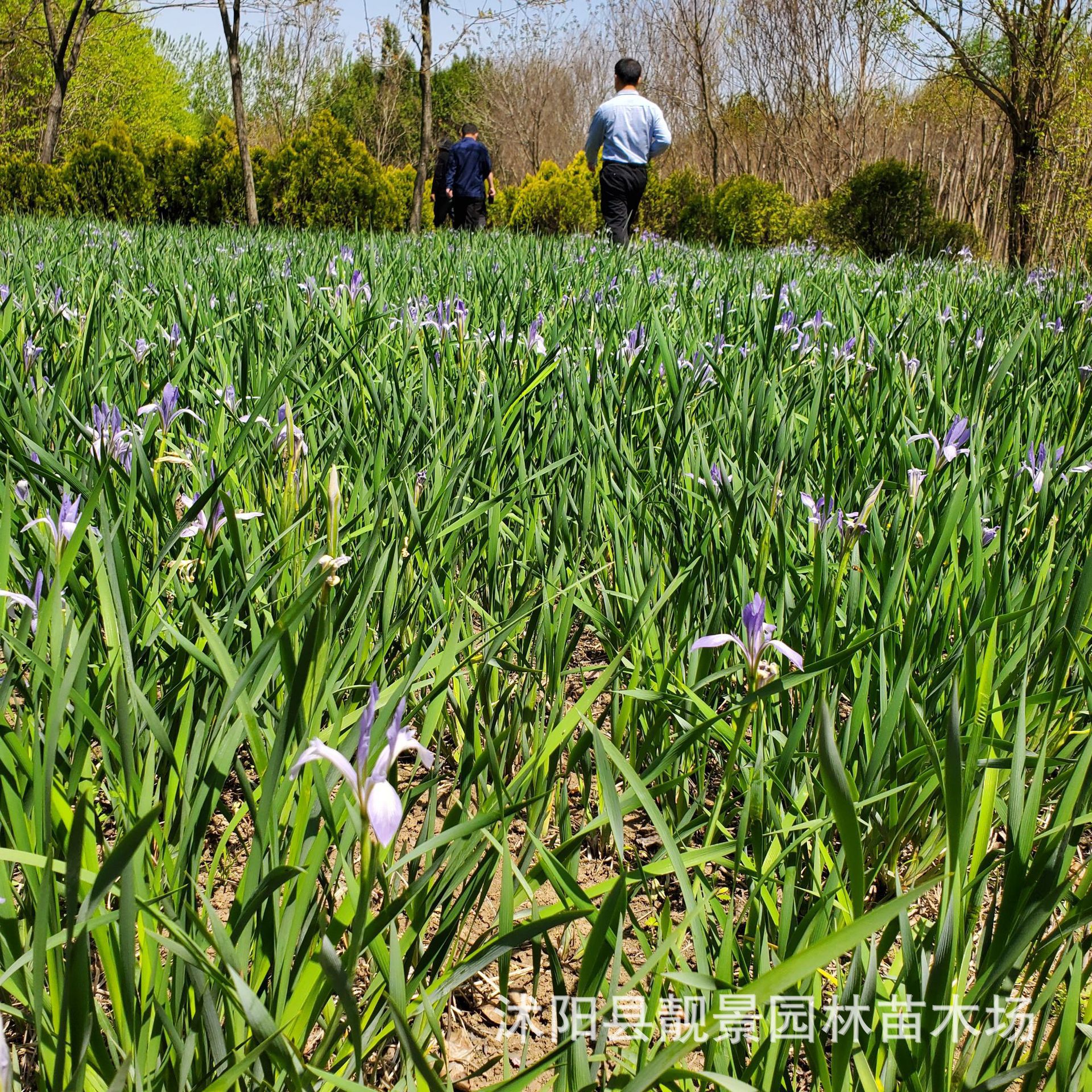微信图片_20210418224729