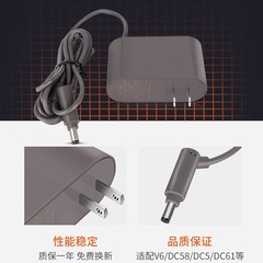 WanChuang Compatible with Dyson V6V7 V8 V10 V11 Vacuum Cleaner Battery Charger 
