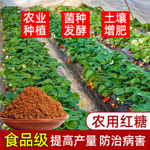 50���r�üt�ǉѸ��T���Nֲ�l�͌��ý��ع���@ֲ��N���~��ʼt��