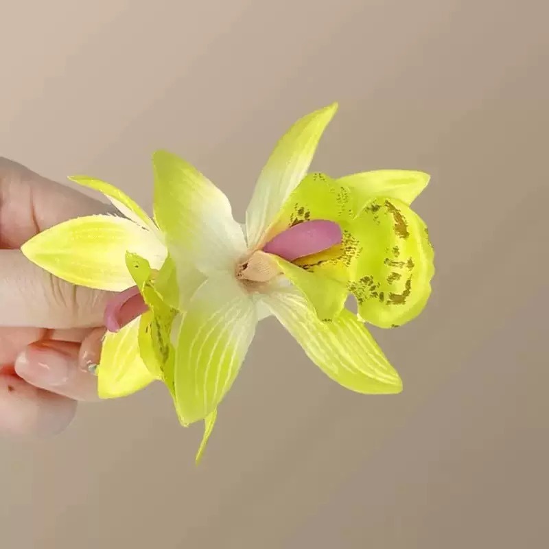 호접란 녹색