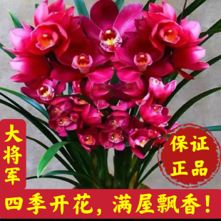 ��������Ʒ�m���玧�����l؛���N���m�ļ���ޥ�m�҃����ԝ�����