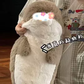 毛绒玩具