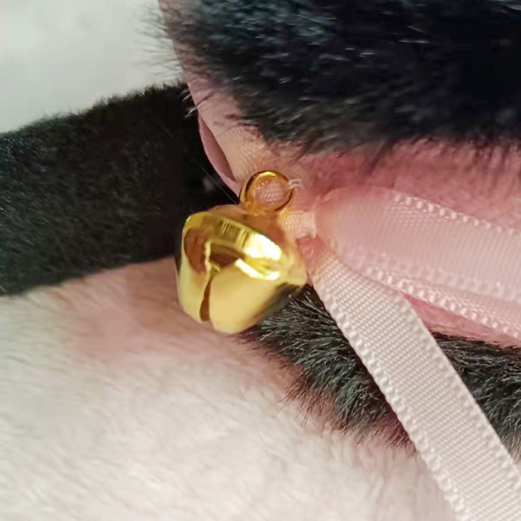 微信图片_20211229110840