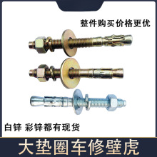 大平墊加彈墊國標車修壁虎膨脹螺絲重型拉爆電梯膨脹螺栓彩鋅