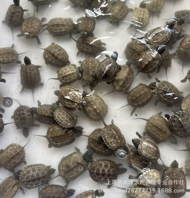 微信图片_20221002203550