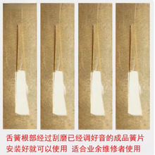 ���J�z�͞������Ƭ�{�{���{�{�{�{���� �S��ֱ�N��ƷëƬ