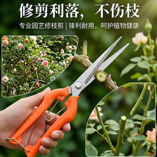 ���ü��������ѾG���޽ӈ@�ֈ@ˇ�����������֦��������֦ժ��