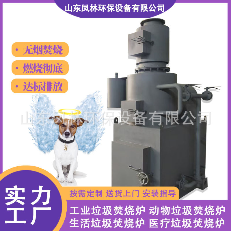 环保焚化炉动物 蓄热式二次燃烧炉 固体废物气化炉 垃圾热解炉