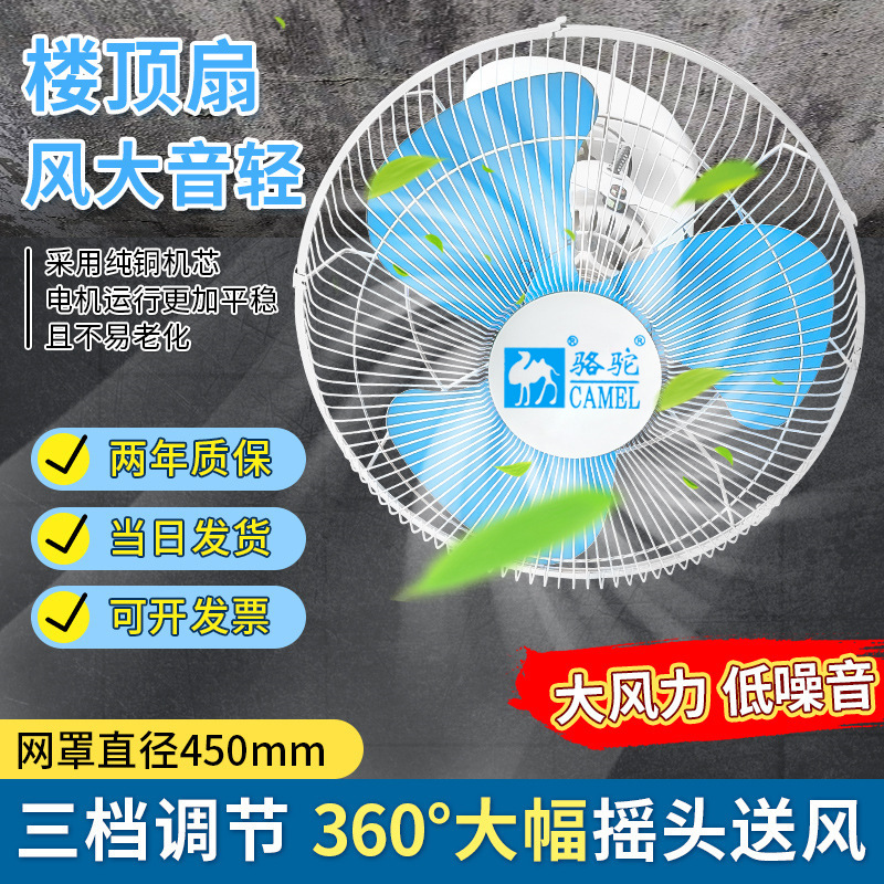 Camel Home Ventilador de techo de 16 pulgadas y 18 pulgadas Dormitorio de la escuela Fábrica comercial Ventilador de techo Sala de estar Sacudiendo la cabeza Ventilador de techo