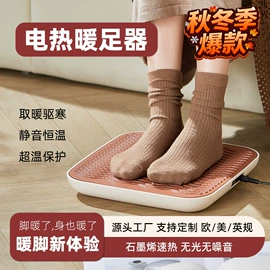 电热饭盒;电煮锅;暖脚器