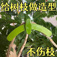 �羳����֦��������ר�ô�֦��ӣ�������֦԰���辰����֧����