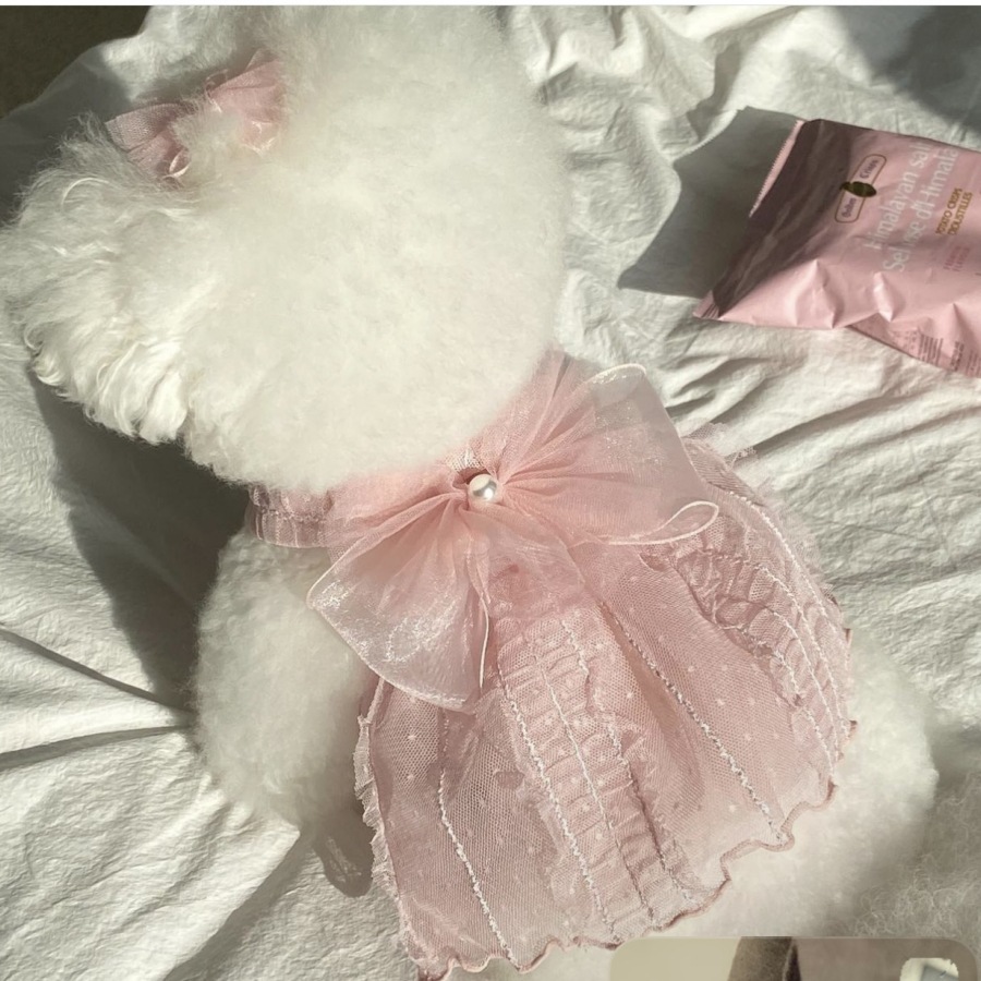 Pet Clothes Summer Thin Princess Wedding Dress For Teddy, Pomeranian, Bichon Frise, Puppy, Cute Cat Apparel_voghion.com