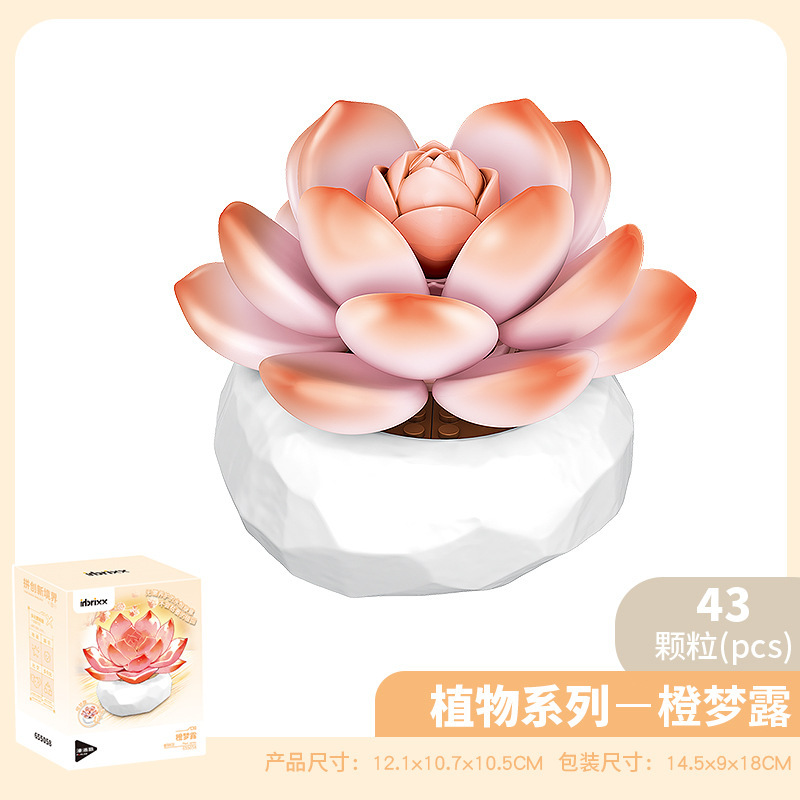 ペンローズ 655056-655065 多肉植物鉢植え装飾品ビルディングブロック女の子教育組み立ておもちゃギフト|undefined