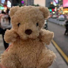 甜美小熊小鸭小猪小羊可爱小巧毛绒玩具送女生儿童毛绒玩具