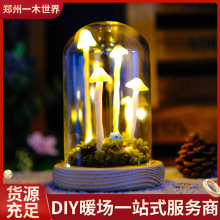 新款精品LED小夜灯七彩梦幻装饰灯创意感应灯插电床头灯diy蘑菇灯