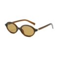 Brown Frame, Brown Lens
