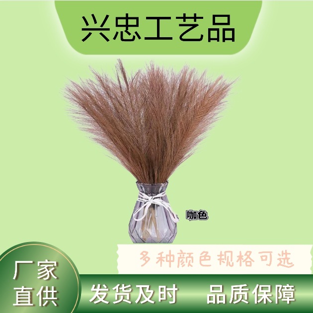 仿真芦苇潘帕斯卢苇草羽毛花束道具婚庆家居装饰永生花仿真芦苇