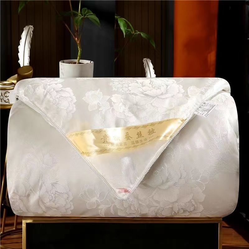 Silk Quilt 100% Mulberry Silk Thickened Warm Winter Quilt Mother-Daughter Quilt Spring and Autumn Quilt Factory Wholesale Cross-Border E-Commerce Dropshipping