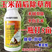 玉米地专用除草剂硝磺莠去津禾阔双杀大老草抗性顽固性杂草剂农药