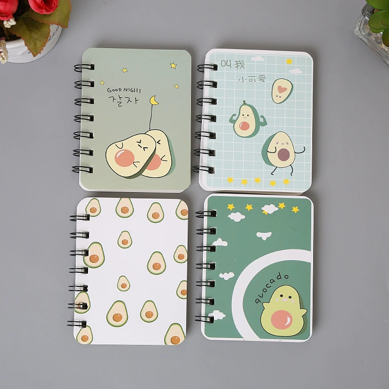 Pocket small laptop for students, notebook, (Physicals)